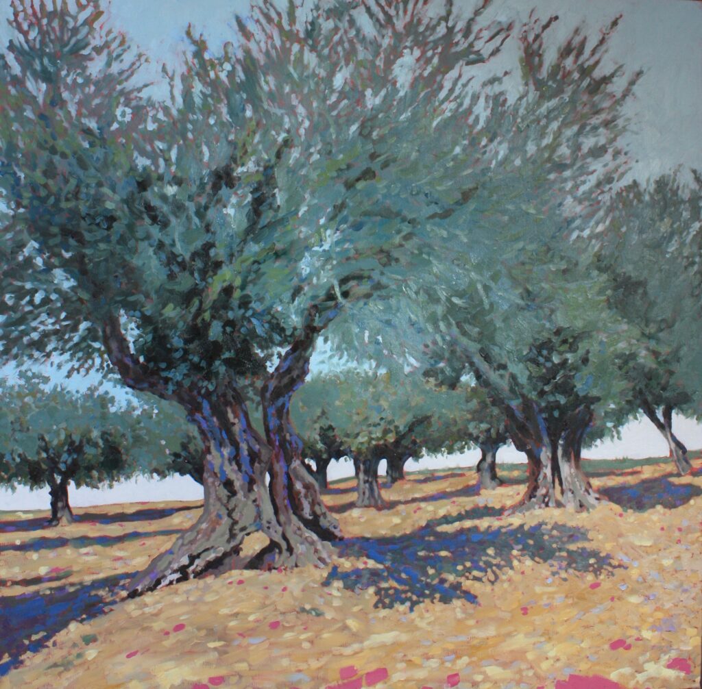 Olive Grove - an image of Olive Grove, which can be produced as a limited edition Giclée