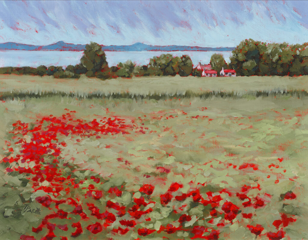 Scottish landscapes - an image of the painting entitled Poppy Fields are Forever