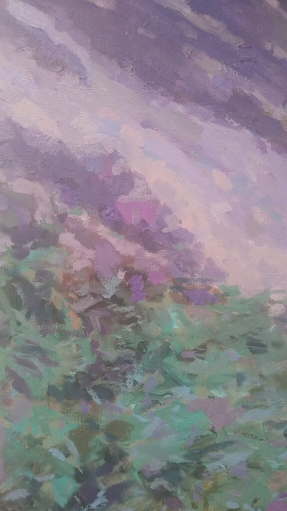 Landscapes by Tess Dunlop - Edinburgh Pentlands brought to life in oils (Heather Weather detail)