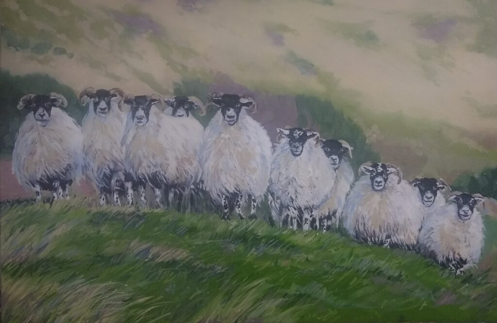 Sheep painting