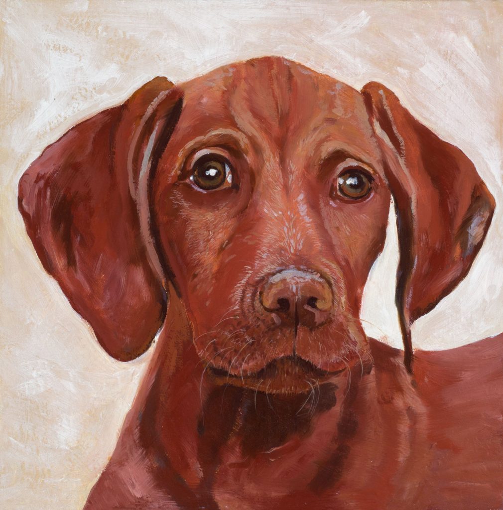 Toffee - a painting of a Hungarian Vizsla (from the Animal Paintings collection by Tracey Pacitti)