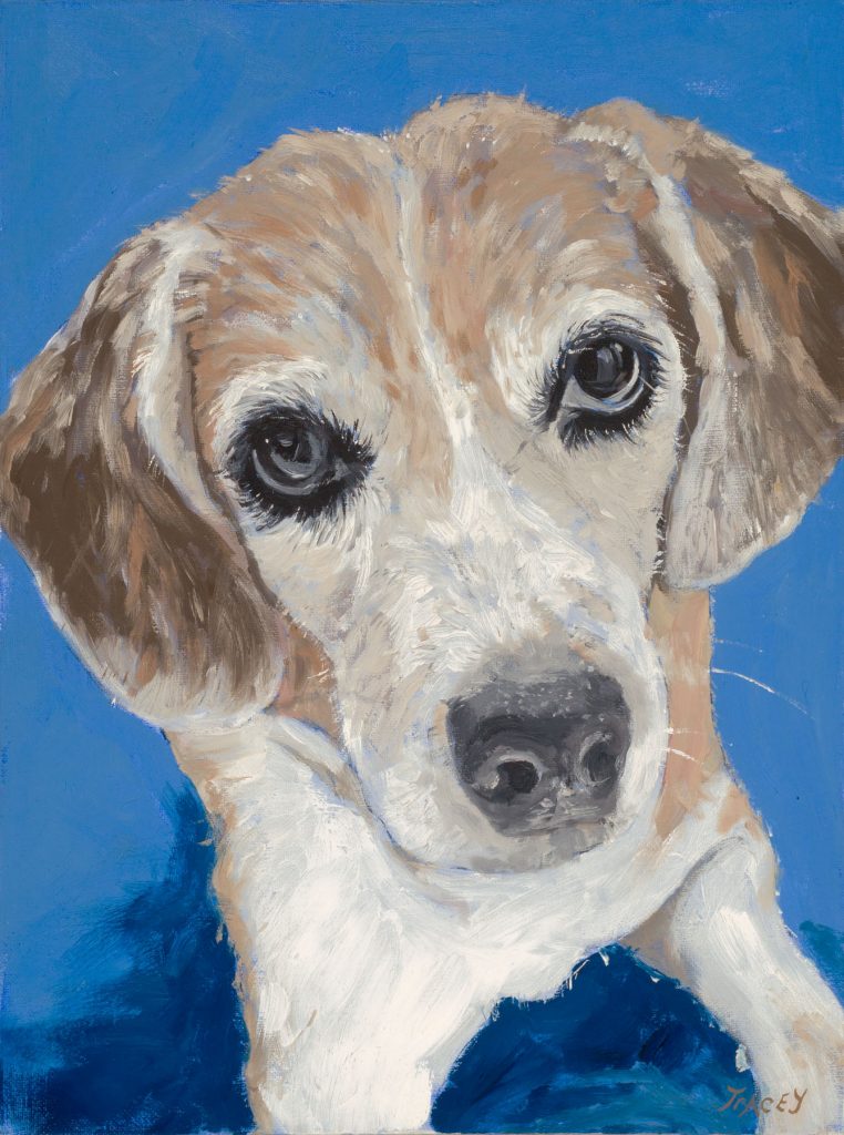 A painting of Sky, a gorgeous Beagle (from the Animal paintings collection by Tracey Pacitti)